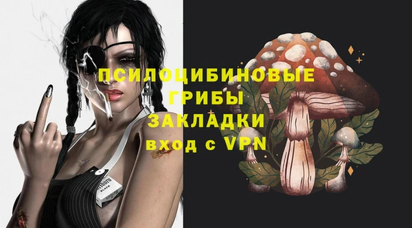 хмурый Армянск
