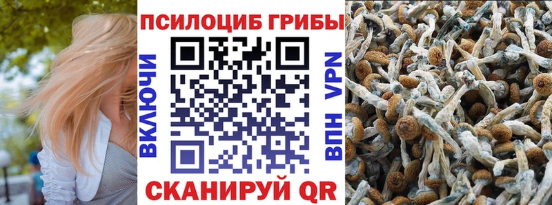 Галлюциногенные грибы прущие грибы  где продают наркотики  Армянск 